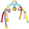 Rattle Playgro Fold and Go Playgym