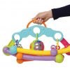 Rattle Playgro Fold and Go Playgym 7253