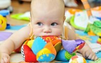 Stuffed Toys