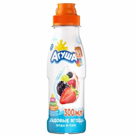 Agusha su və meyvə şirəsi bağ giləmeyvə 300 ml