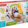 Fisher-Price CCB70 Newborn-to-Toddler Play Gym