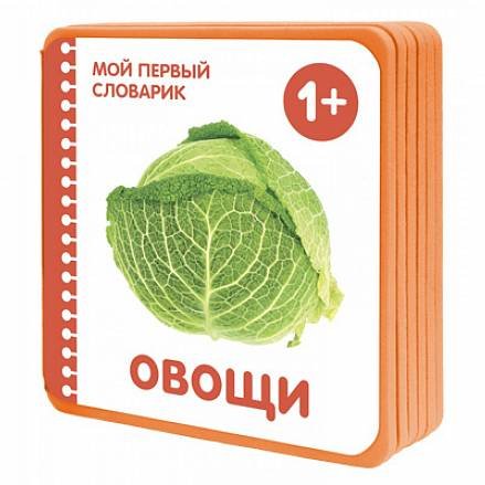 Книга Мозаика-Синтез Мой первый словарик. Овощи
