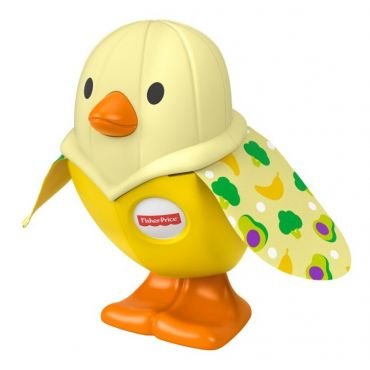 Fisher Price Peek A Boo Bird