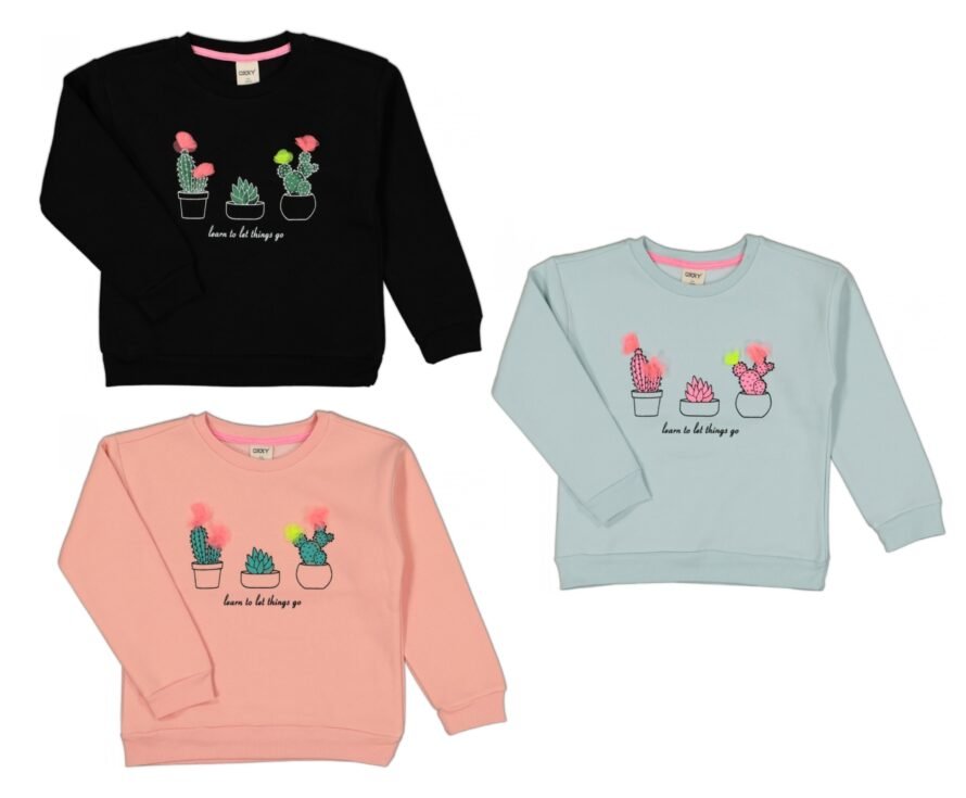 Divonette 2205 embroidered sweatshirt cactus